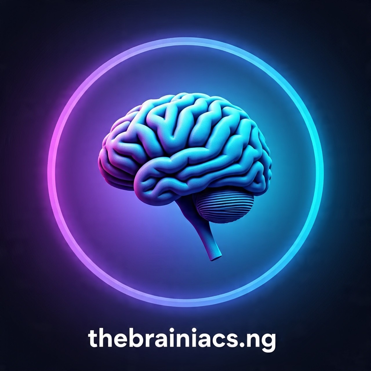 The BRAINIACS-Nigeria